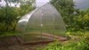 Теплица Купольная 3 х 12 метра 2105