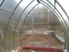 Теплица Купольная 2,5 х 9 метра 2115