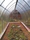 Теплица Купольная 2,5 х 14 метра 2120