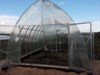 Теплица Ангар 4 х 8 метра 2123