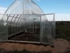 Теплица Ангар 4 х 8 метра 2123