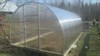 Теплица Триумф 2,5 х 9 метра 2161