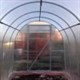 Теплица Триумф 2,1 х 4 метра 2184